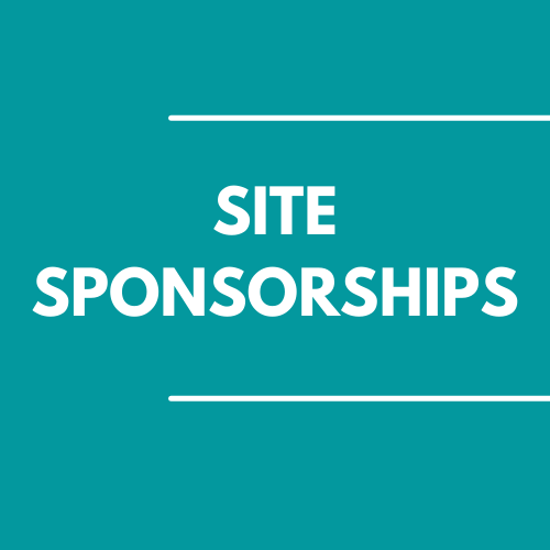 Newcity Brazil Digital Advertising - Web/Mobile Site Sponsorships