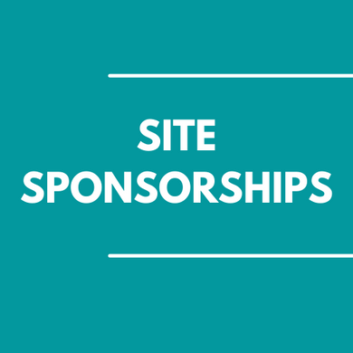 Newcity Digital Advertising - Site Sponsorships